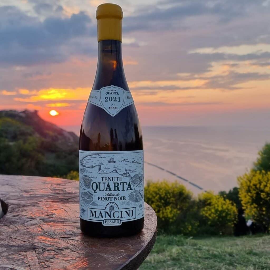 Aperitivi nella Vigna sul Mare a Rimini - Pinot Nero