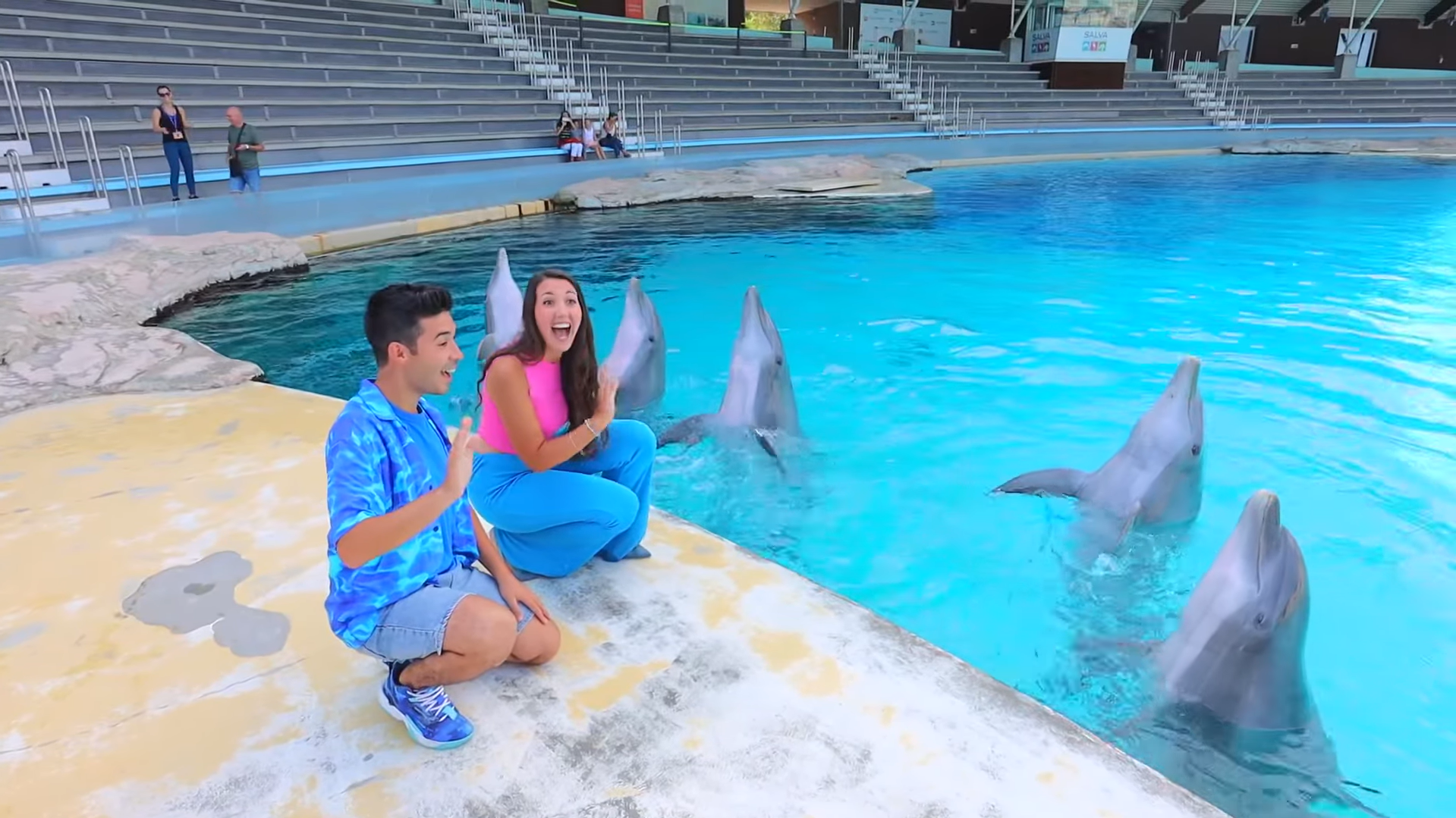 Rimini Dolphin Experience