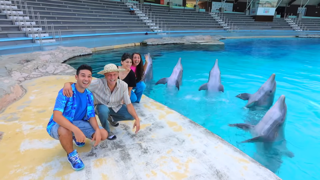 Rimini Experience Dolphins