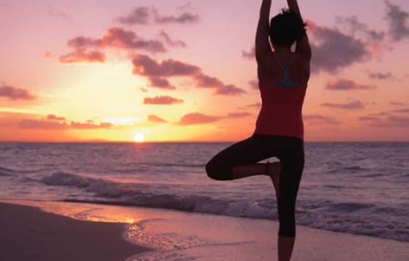 3fb8664db42f2a49dbb889c1b2146303_XL