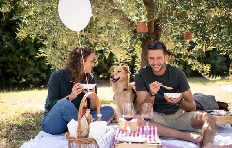 pic-nic-con-cane-rimini