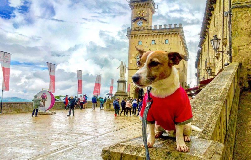 san-marino-cane